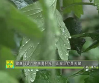 健康门诊：哮喘莫轻视  积极治疗是关键